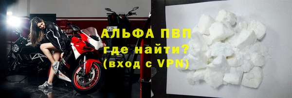 apvp Алзамай