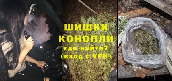 амф Россошь