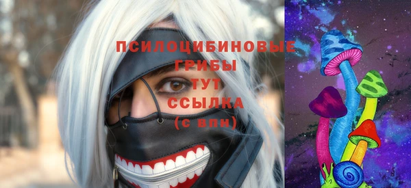 apvp Алзамай