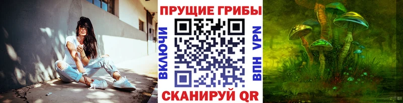Галлюциногенные грибы ЛСД  Зверево 